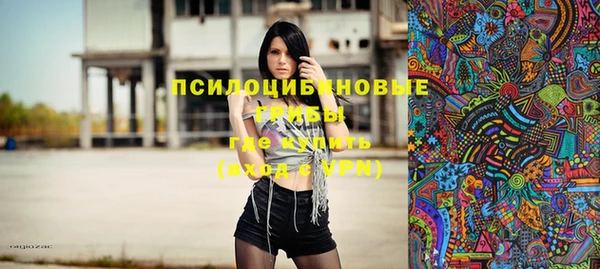 винт Алзамай