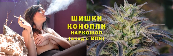 винт Алзамай