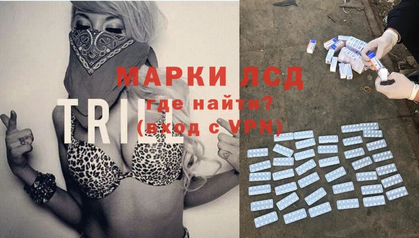 винт Алзамай